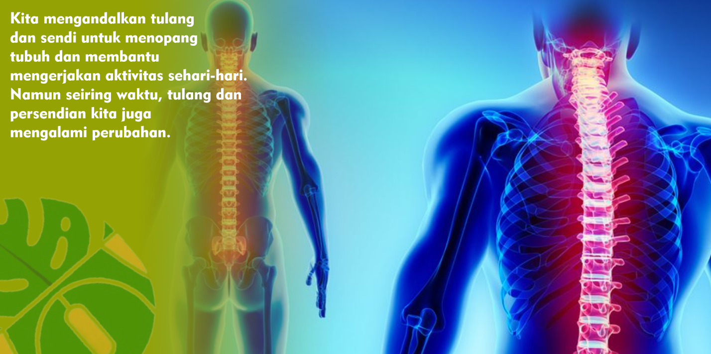 Perubahan Kekuatan Tulang Seiring Pertambahan Usia Manusia